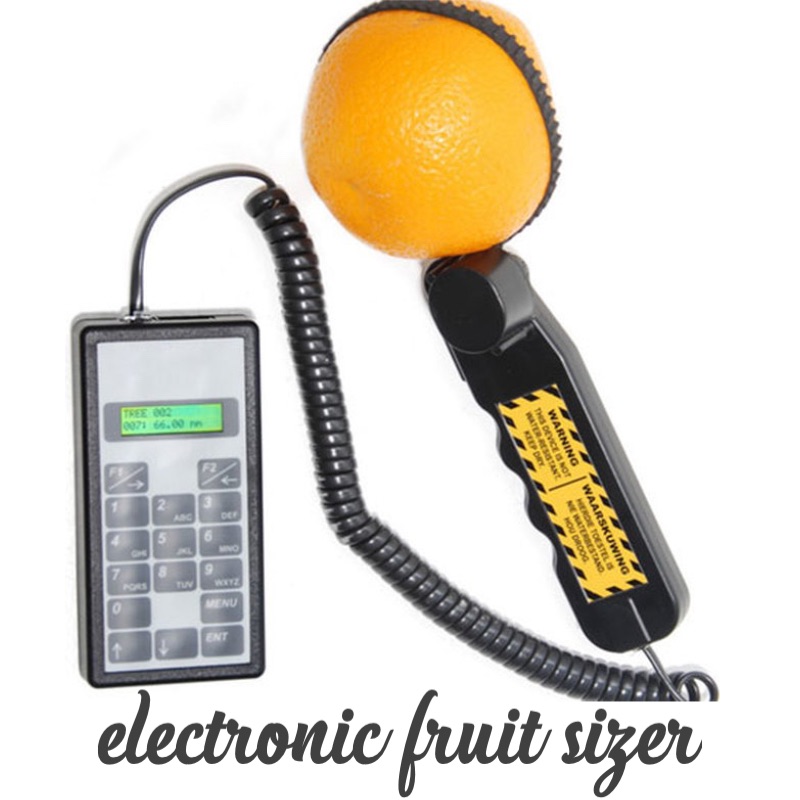 Electronic Fruit Sizer & Data Logger